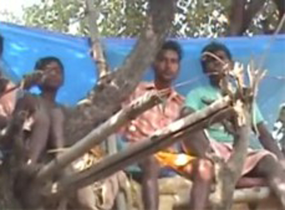 فيديو صادم: عائلات هندية تعيش فوق الأشجار هربا من هجوم الفيلة صورة رقم 2