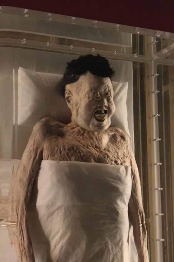 صور أغرب مومياء في العالم.. حافظت على شكلها بعد 2100 سنة! صورة رقم 4