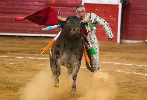  توقيف شخصين في اسبانيا بتهمة اهانة طفل (8 سنوات) مصاب بالسرطان صورة رقم 2