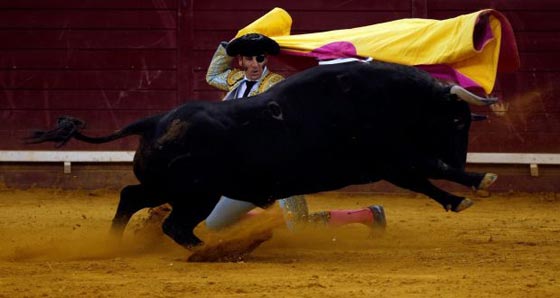  توقيف شخصين في اسبانيا بتهمة اهانة طفل (8 سنوات) مصاب بالسرطان صورة رقم 3