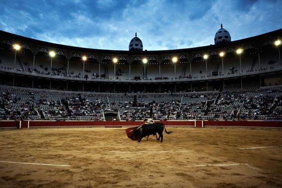  توقيف شخصين في اسبانيا بتهمة اهانة طفل (8 سنوات) مصاب بالسرطان صورة رقم 4
