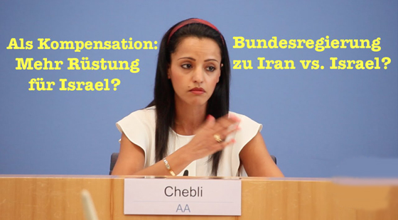 مسلمة ناطقة بلسان الخارجية الالمانية: المجتمع هنا يرى في الحجاب تخلفا صورة رقم 6