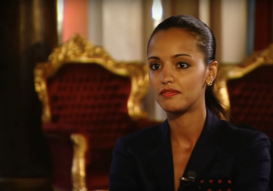 مسلمة ناطقة بلسان الخارجية الالمانية: المجتمع هنا يرى في الحجاب تخلفا صورة رقم 9