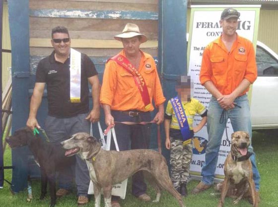 فيديو مثير.. شاهد اللكمة التي وجهها هذا الرجل لكنغر وانقذ كلبه صورة رقم 3