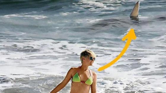 صور مرعبة: قرش يهاجم عارضة ازياء حسناء المانية  صورة رقم 2