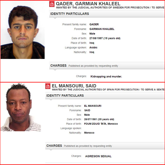 صور اخطر المطلوبين الذين يلاحقهم لإنتربول بينهم سيدات عربيات! صورة رقم 2