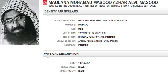 صور اخطر المطلوبين الذين يلاحقهم لإنتربول بينهم سيدات عربيات! صورة رقم 8