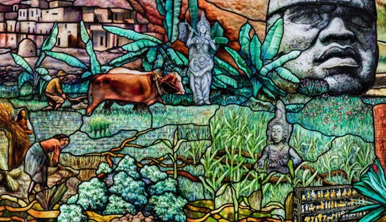 60 الف لوحة زجاجية تعكس تاريخ تطور المعرفة واصل البشرية صورة رقم 1