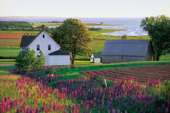 مقاطعة كندية تقر قانونا يمنح كل مواطن دخلا شهريا ثابتا صورة رقم 3