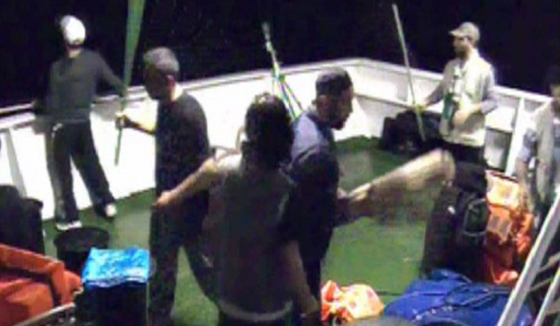  تركيا تسقط ملاحقة 4 ضباط اسرائيليين قتلوا 10 اتراك على سفينة مرمرة صورة رقم 14