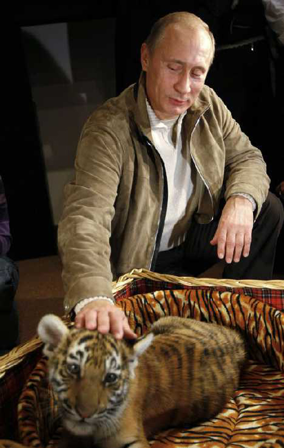 اليابان تستغل ولع الرئيس فلاديمير بوتين بالكلاب صورة رقم 12