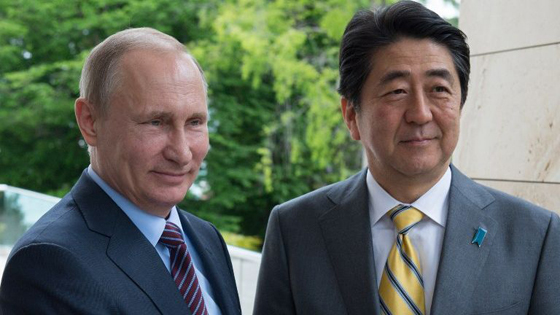 اليابان تستغل ولع الرئيس فلاديمير بوتين بالكلاب صورة رقم 22