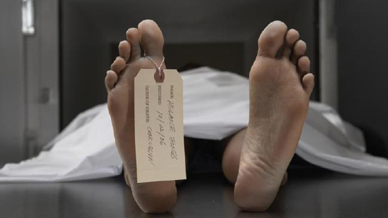 ماذا يحدث عندما يتوفى شخص على متن طائرة؟ صورة رقم 4