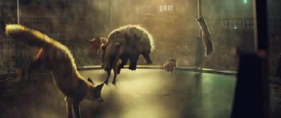  إعلان مصري يحتل المركز الرابع عالميا في قائمة أنجح 10 إعلانات صورة رقم 5