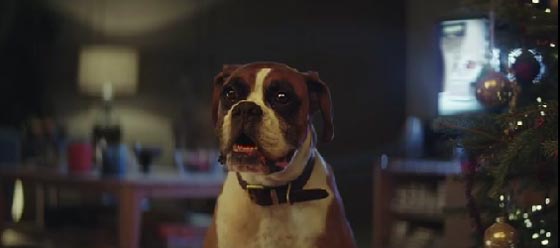  إعلان مصري يحتل المركز الرابع عالميا في قائمة أنجح 10 إعلانات صورة رقم 8