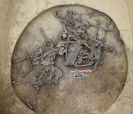 اكتشاف 40 قبرا فيها رفات 300 شخص تحت مركز شرطة بفرنسا صورة رقم 2