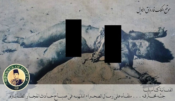  الكاتب انيس منصور يعترف: انا السبب في وفاة كاميليا عشيقة الملك فاروق! صورة رقم 1