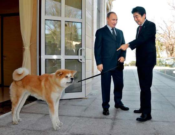 فيديو طريف: كلبة بوتين  تخطف الأنظار في مقابلة مع التلفزيون الياباني صورة رقم 7