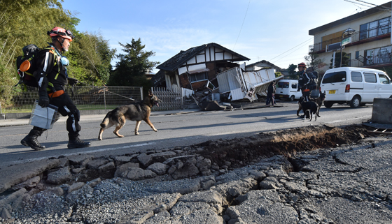 كوارث عام 2016 قتلت 10 الاف انسان وكلفت 158 مليار دولار صورة رقم 28