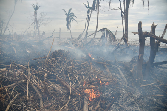 كوارث عام 2016 قتلت 10 الاف انسان وكلفت 158 مليار دولار صورة رقم 10