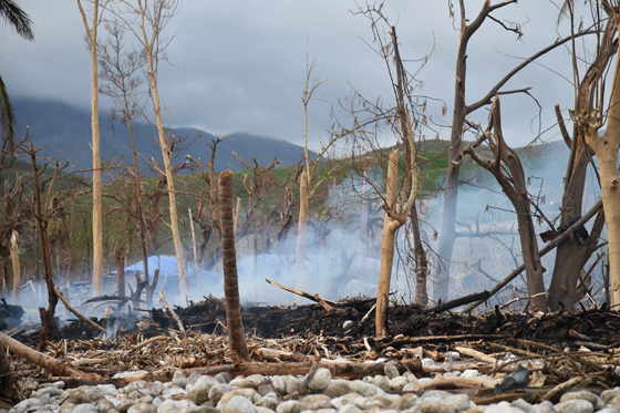 كوارث عام 2016 قتلت 10 الاف انسان وكلفت 158 مليار دولار صورة رقم 11