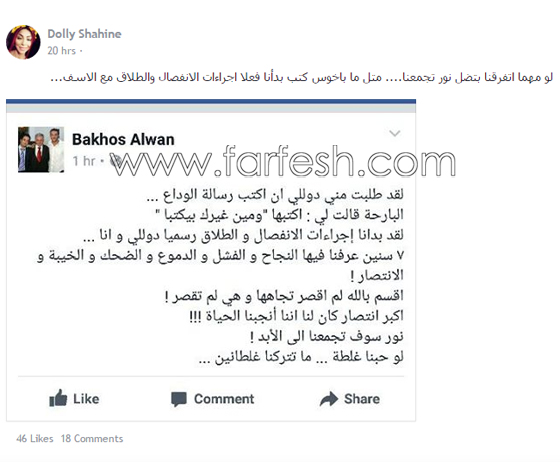  باخوس علوان: لم اطلق دولي شاهين ومن حقي الاطلاع على كل محادثاتها! صورة رقم 2