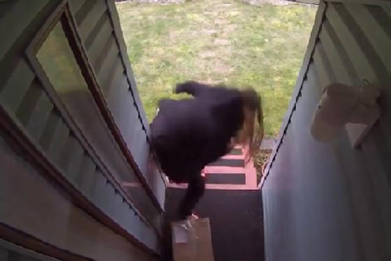 شاهد كيف انتقم هذا الشاب من سارقة طروده البريدية.. فيديو صورة رقم 2