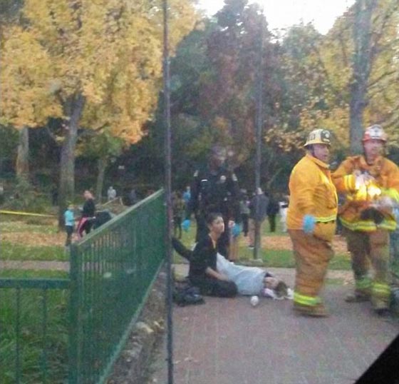 سقوط شجرة يحول حفل زفاف الى ماساة بمقتل العروس صورة رقم 2