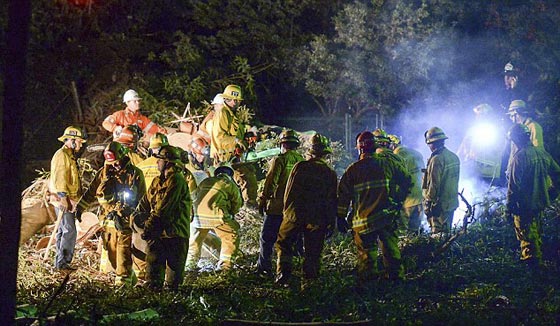 سقوط شجرة يحول حفل زفاف الى ماساة بمقتل العروس صورة رقم 7