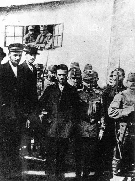 شبه كبير بين قاتل اشعل الحرب العالمية الاولى وقاتل السفير الروسي صورة رقم 6