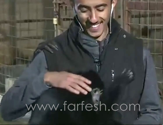 فيديو مدهش.. شاب سعودي يتحدث مع الحيوانات المفترسة صورة رقم 3