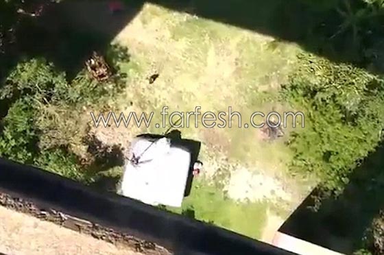 فيديو مرعب..أب برازيلي يقفز إلى الموت صورة رقم 6