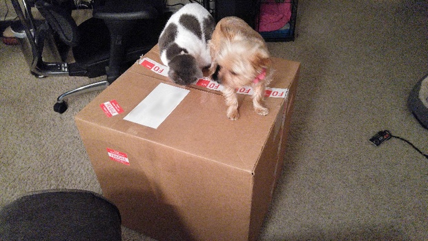 بيل غيتس يفاجئ امرأة  بـ