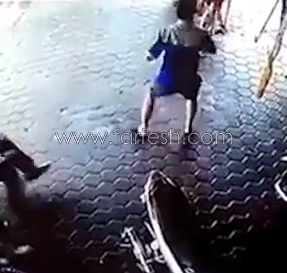 فيديو مذهل لاب ينقذ طفليه من الموت المحقق في اللحظة الأخيرة! صورة رقم 5