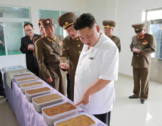 نصيحة زعيم كوريا الشمالية لجنوده تسببت لهم بالإسهال! صورة رقم 7