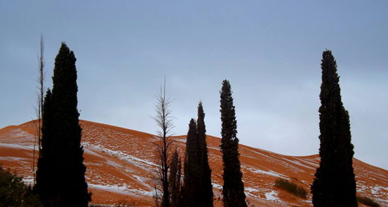  صور نادرة.. لاول مرة صحاري الجزائر تحظى بوجبة ثلوج! صورة رقم 1