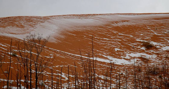  صور نادرة.. لاول مرة صحاري الجزائر تحظى بوجبة ثلوج! صورة رقم 11