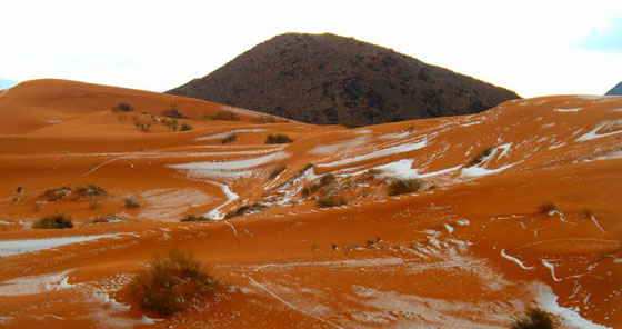  صور نادرة.. لاول مرة صحاري الجزائر تحظى بوجبة ثلوج! صورة رقم 12