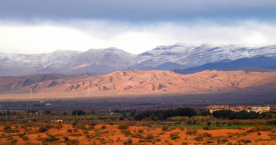  صور نادرة.. لاول مرة صحاري الجزائر تحظى بوجبة ثلوج! صورة رقم 13