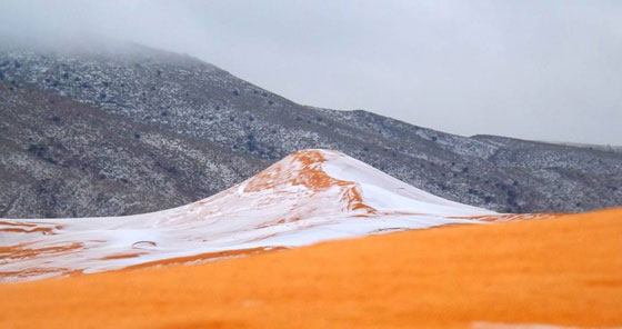  صور نادرة.. لاول مرة صحاري الجزائر تحظى بوجبة ثلوج! صورة رقم 14