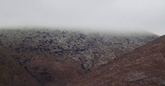  صور نادرة.. لاول مرة صحاري الجزائر تحظى بوجبة ثلوج! صورة رقم 15