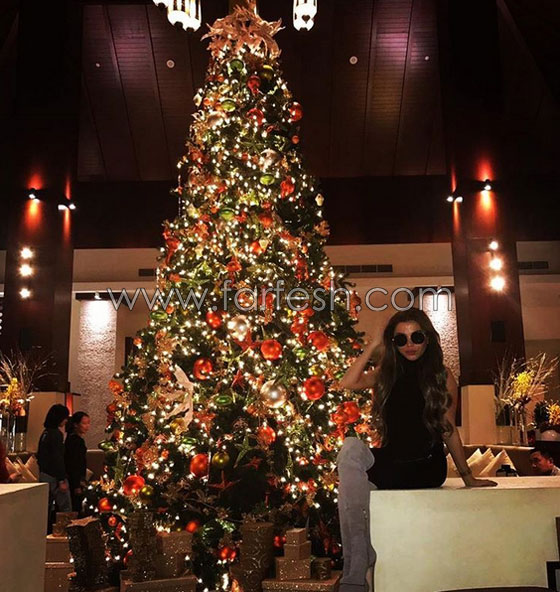  فنانات عربيات بإطلالات الكريسماس (عيد الميلاد)، من منهن الأجمل؟ صورة رقم 9