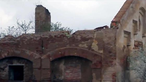 وفاة اقذر رجل في اوروبا.. اعتاد احراق كل شيء والنوم في الرماد صورة رقم 7