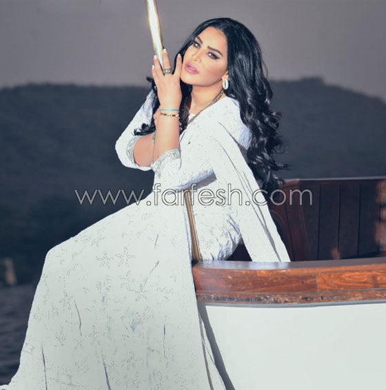  صور سيارات وطائرة الفنانة أحلام.. لن تصدق قيمتها! صورة رقم 17