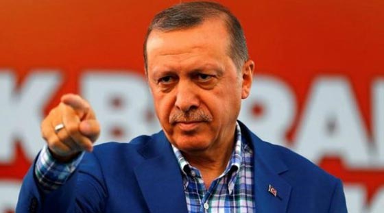 هل في رفض تقديم الشاي لاردوغان اهانة للرئيس تستحق الاعتقال؟ صورة رقم 7