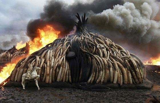 صور معبرة تحكي دموع الأسى ولحظات الفرح في عام 2016 صورة رقم 21