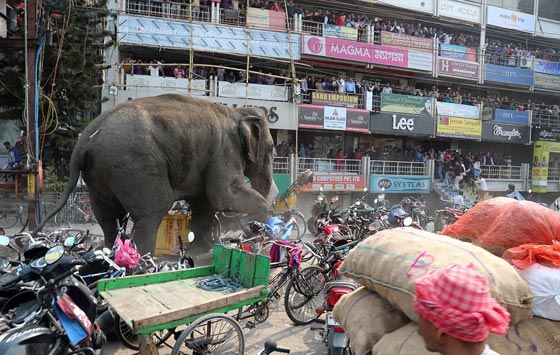 صور معبرة تحكي دموع الأسى ولحظات الفرح في عام 2016 صورة رقم 11