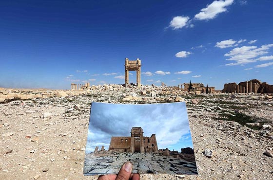 صور معبرة تحكي دموع الأسى ولحظات الفرح في عام 2016 صورة رقم 26