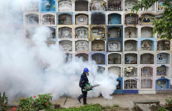 صور معبرة تحكي دموع الأسى ولحظات الفرح في عام 2016 صورة رقم 13