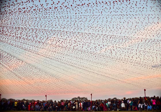 عيد ميلاد فتاة يتحول الى مهرجان يحضره الآلاف ويحظى باهتمام عالمي صورة رقم 15